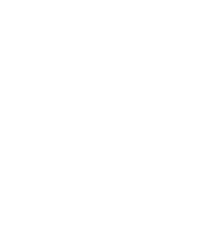 Footer Goose